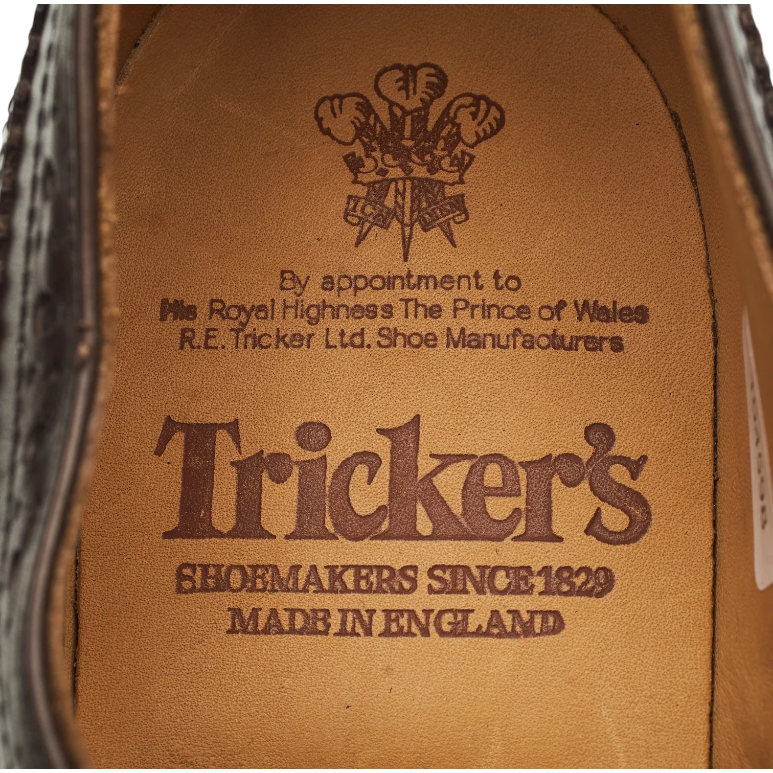'Bourton' Dark Brown Leather Derby Brogues UK 6.5 - Image 6
