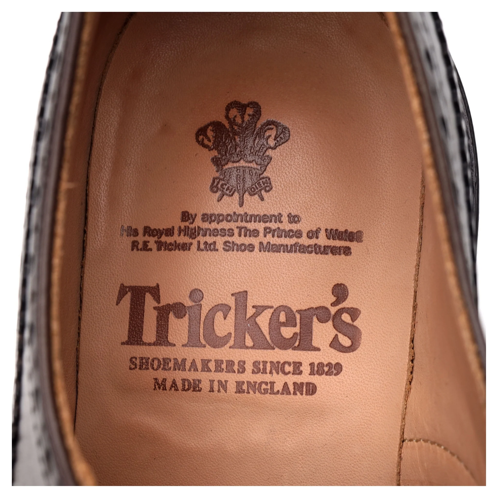 'Bourton' Dark Brown Leather Derby UK 9 - Image 12